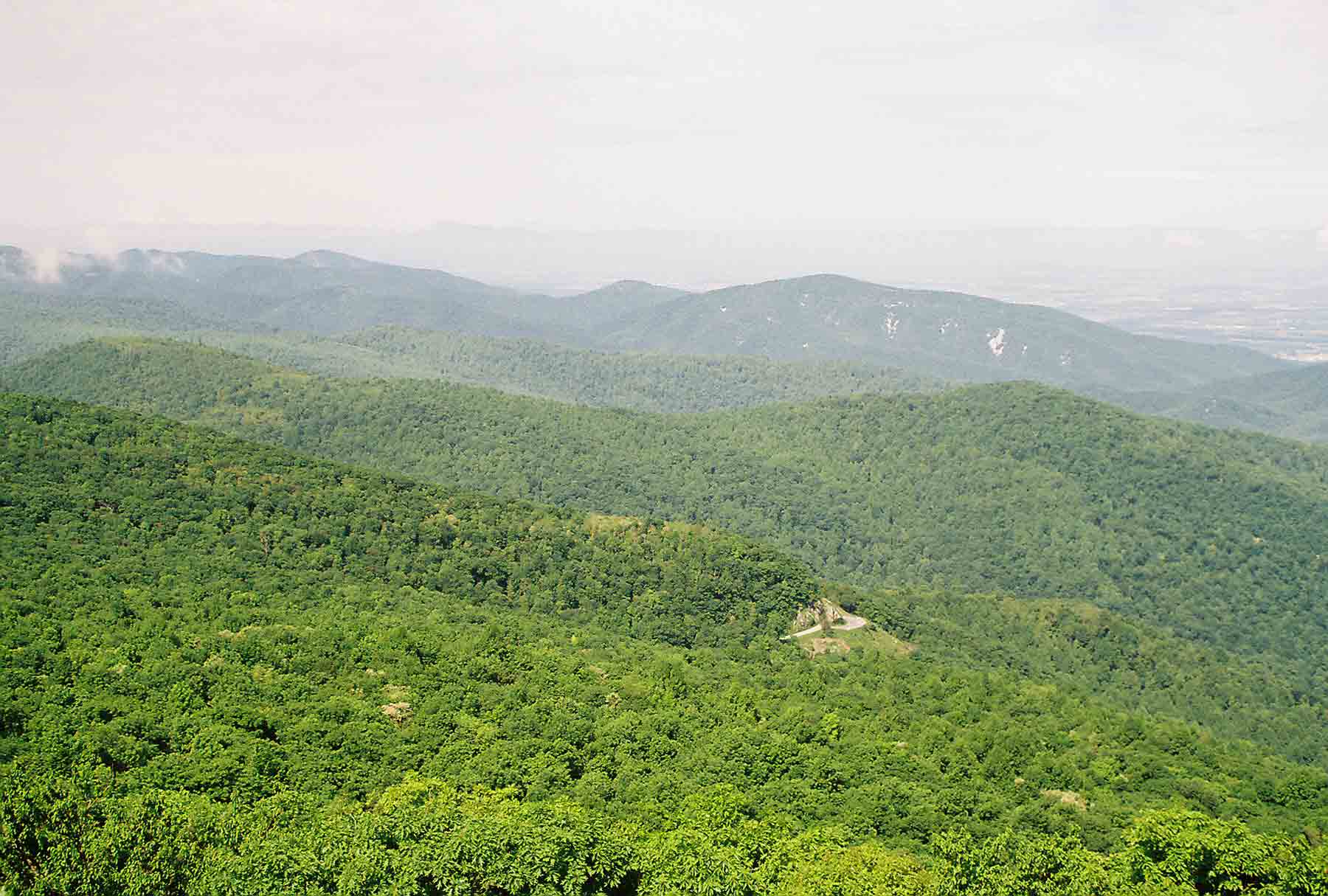 mm 2.8 - View from ledge near summit of Hightop, highest peak in South District of Shenandoah National Park.  Courtesy dlcul@conncoll.edu