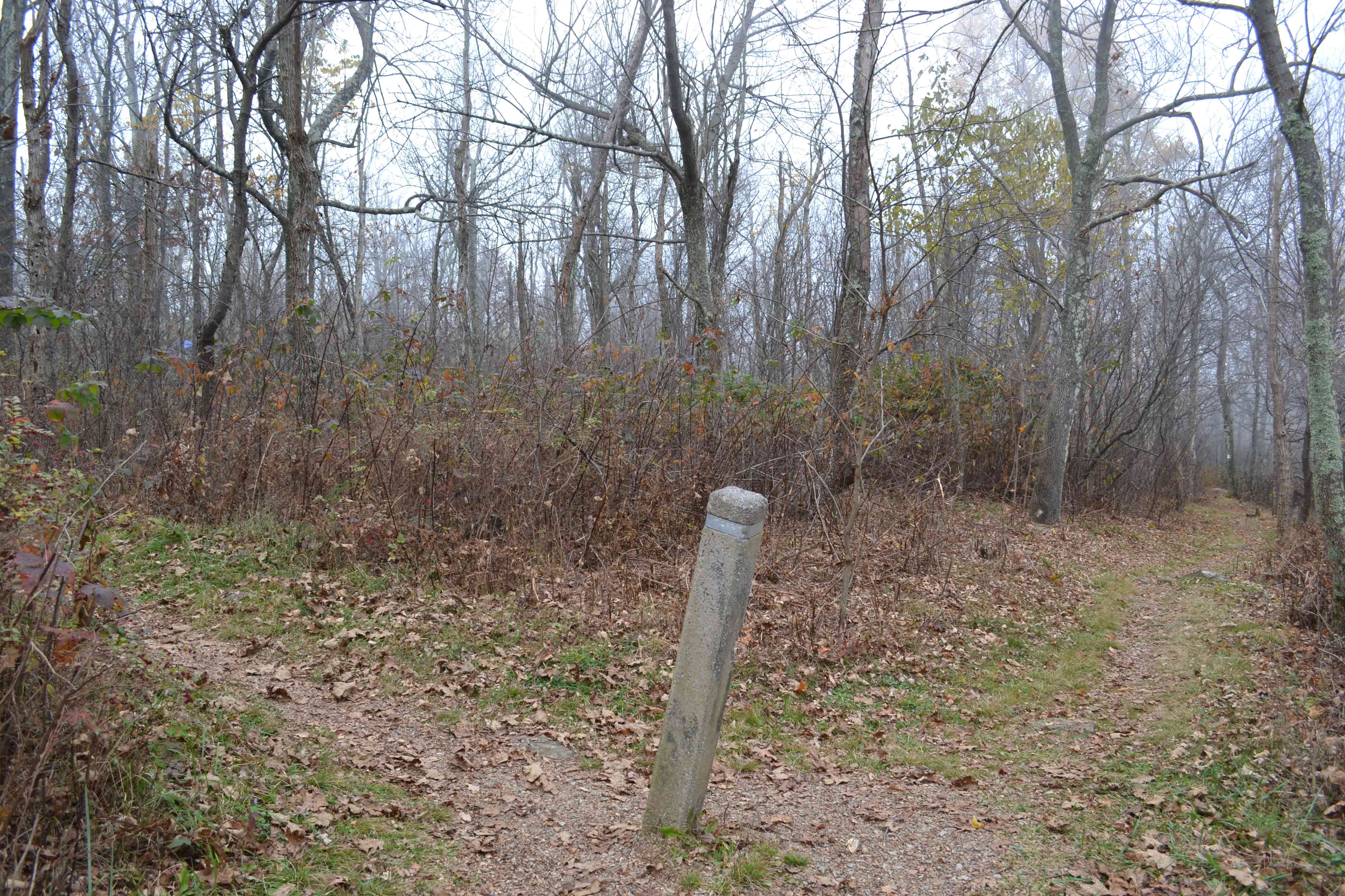 Trail post on AT denoting side trail to Loft Mountain
campground approximately 150 yds. Water available. GPS N38.24384 W78.66988
Courtesy at@rohland.org