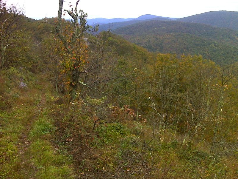 Looking north from hillside viewpoint south of Ivy Creek Overlook. GPS N38.2906 W78.6457  Courtesy pjwetzel@gmail.com