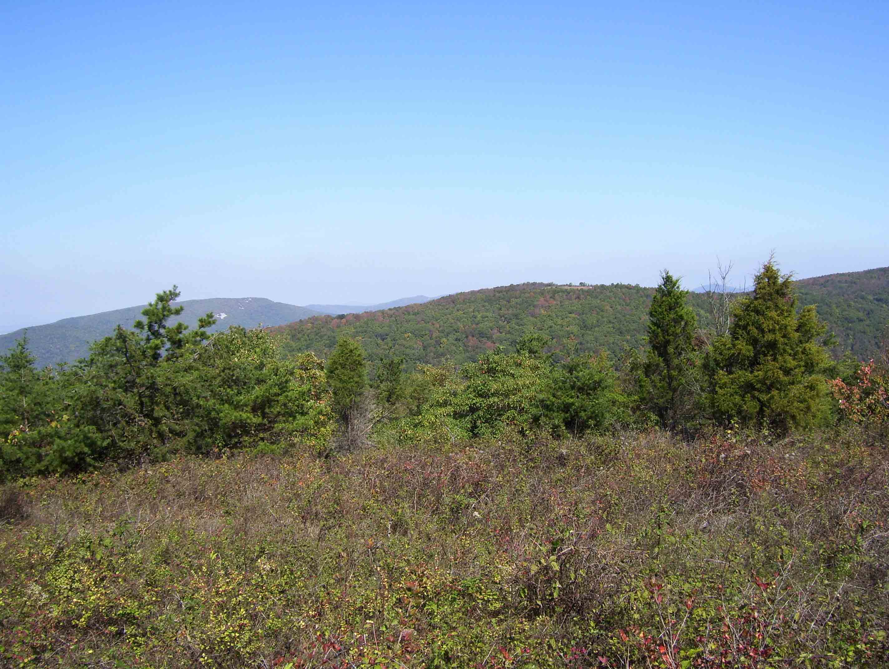 mm 3.7 - View north from near the summit of Bears Den Mt.  Courtesy dlcul@conncoll.edu