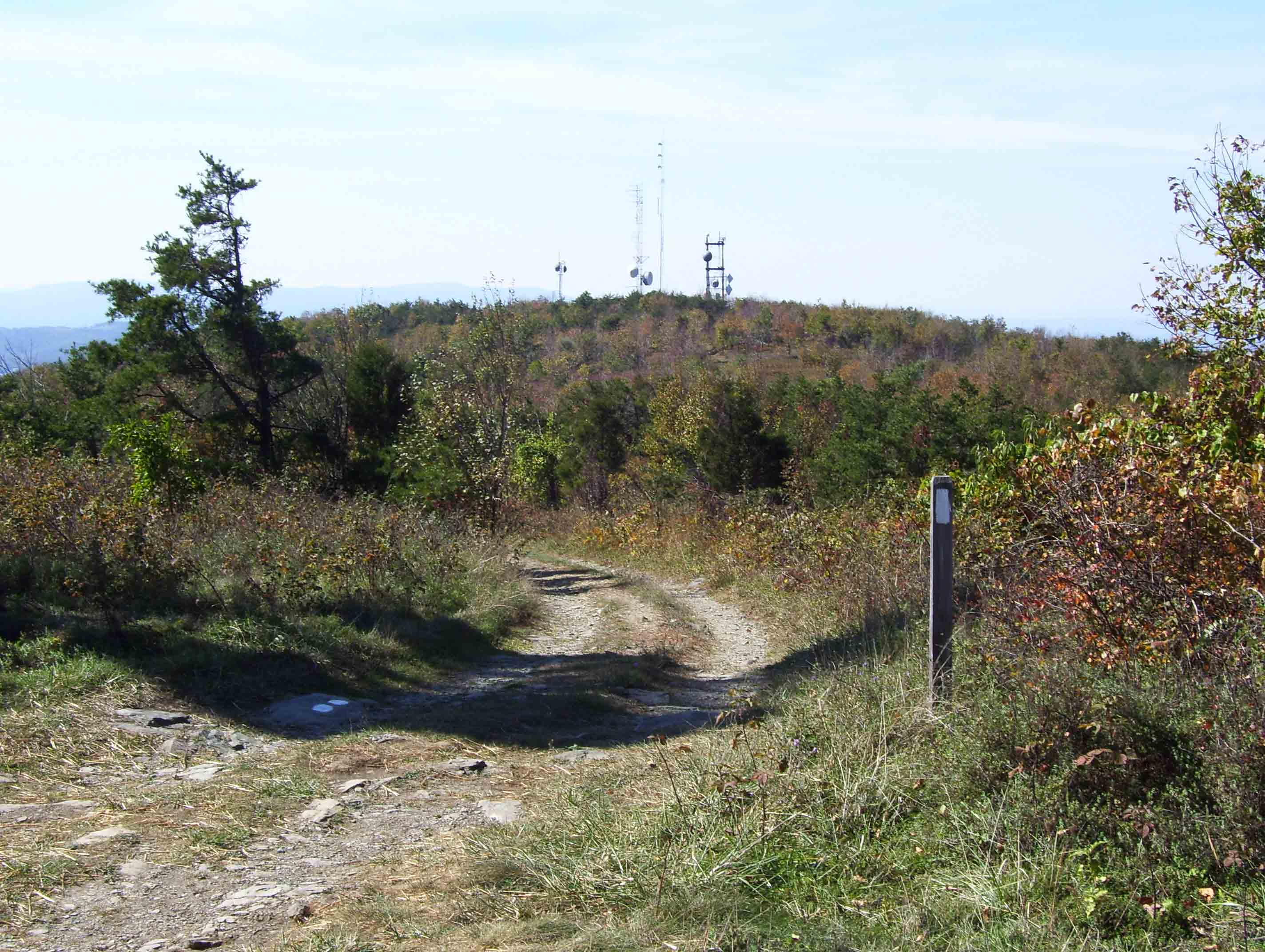 The trail along the summit of Bears Den Mt. Much of this section of the AT is outside the national park which is why communication towers dot the summit. Taken from MM 3.0.  Courtesy dlcul@conncoll.edu