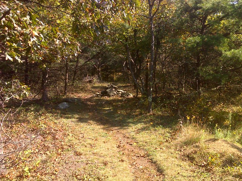 mm 1.6 Wooded summit of Calf Mountain. This was open land 50 years ago. GPS N38.0816 W78.7839.  Courtesy pjwetzel@gmail.com