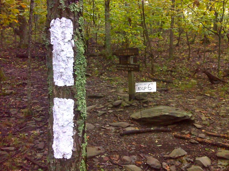 mm 10.5 Blue-blazed trail to Humpback Rocks.  This trail is the old route of the AT.  It is 0.3 miles to the views from Humpback Rcoks and another 0.9 miles to the Humpback Rocks parking area.  GPS N37.9588 W78.9014  Courtesy pjwetezel@gmail.com