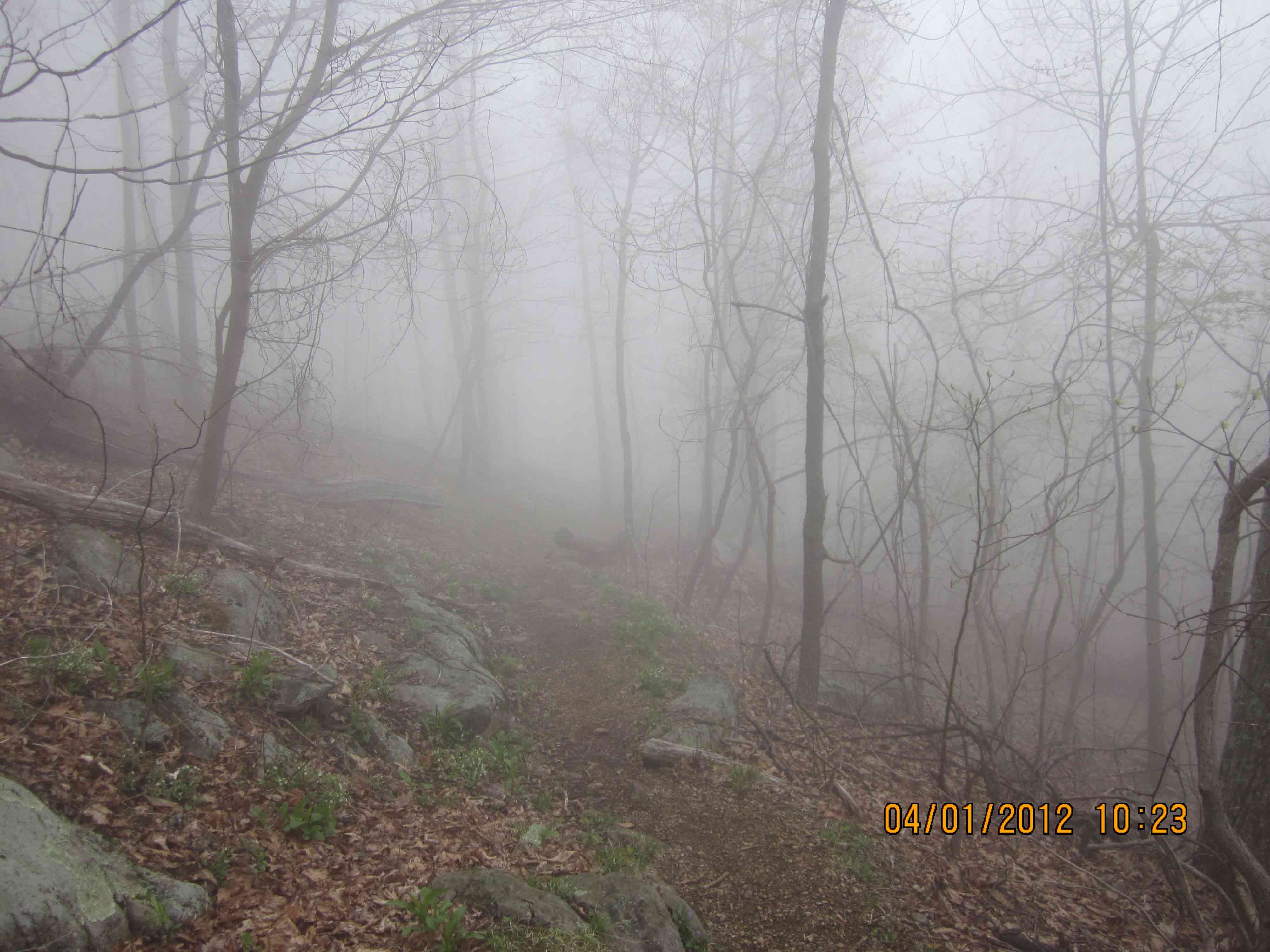 mm 1.9 - Ascent of the priest in a cloud cover  Courtesy fullcount.tom@gmail.com