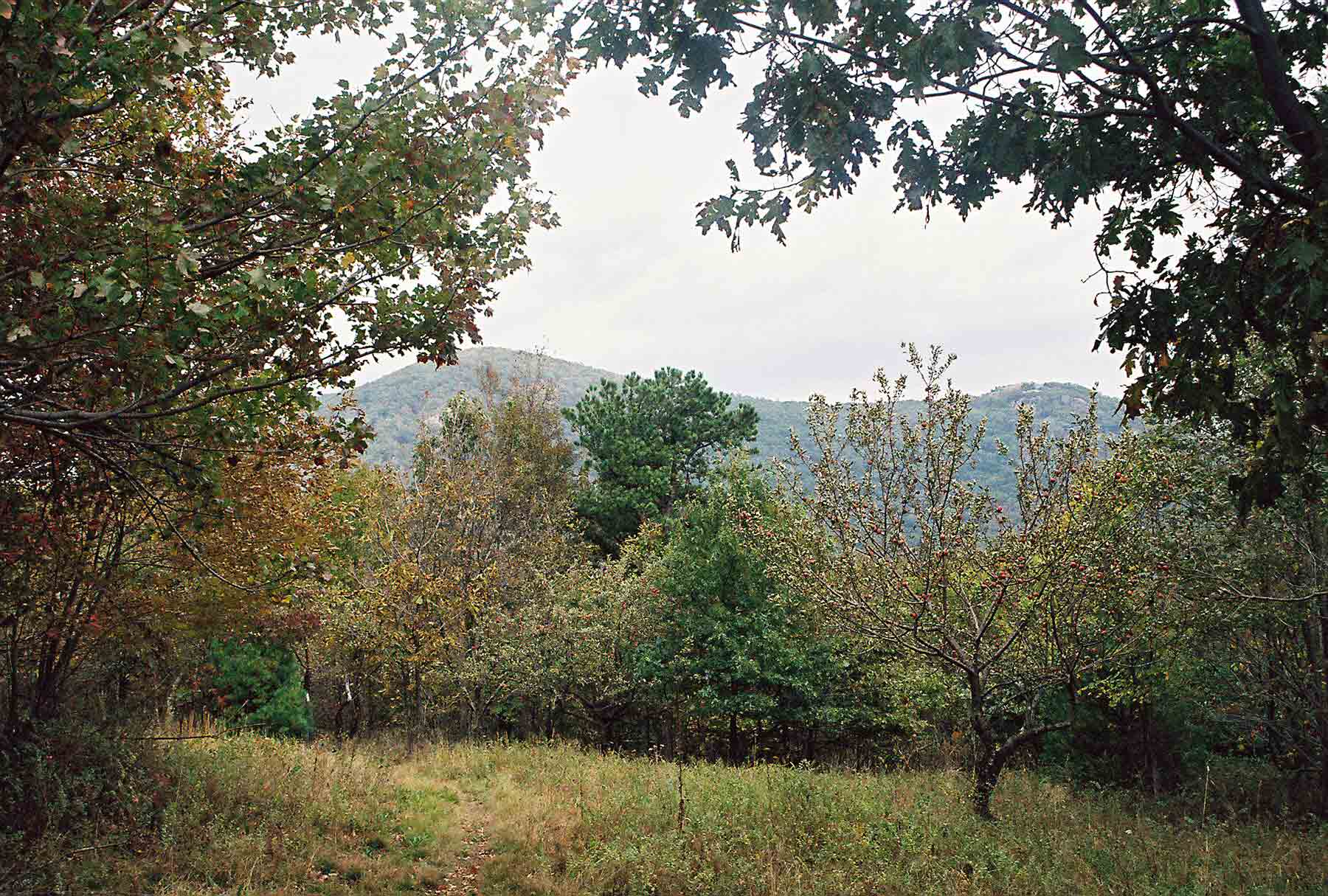 mm 0.8 - Maintop (on left) and Spy Rock as seen from old apple orchard on Porter Ridge trail south of Fish Hatchery Road (AKA Spy Rock Road). Courtesy dlcul@conncoll.edu