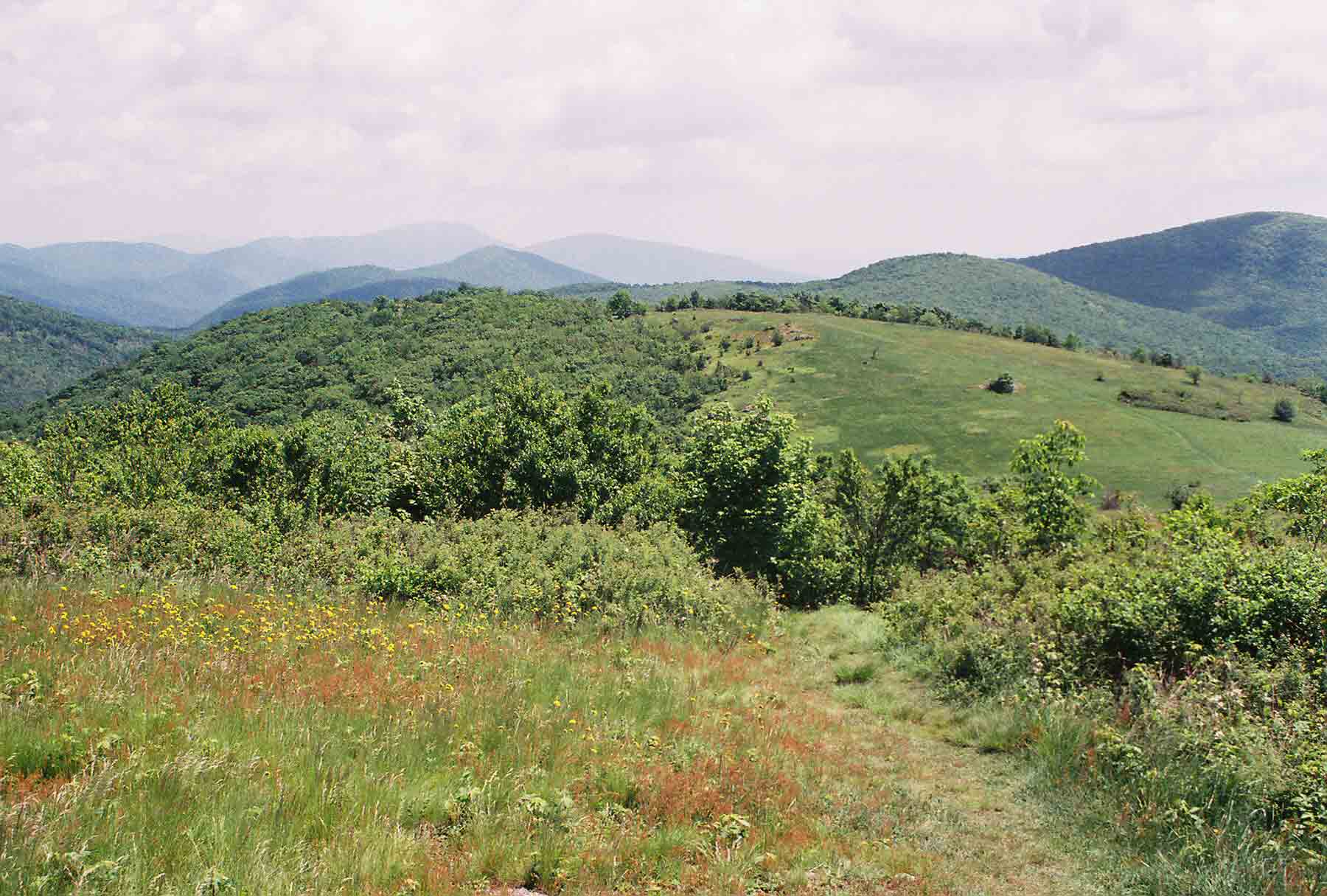 mm 3.5 - View north along crest of Cold Mt. (May 2004).  Courtesy dlcul@conncoll.edu