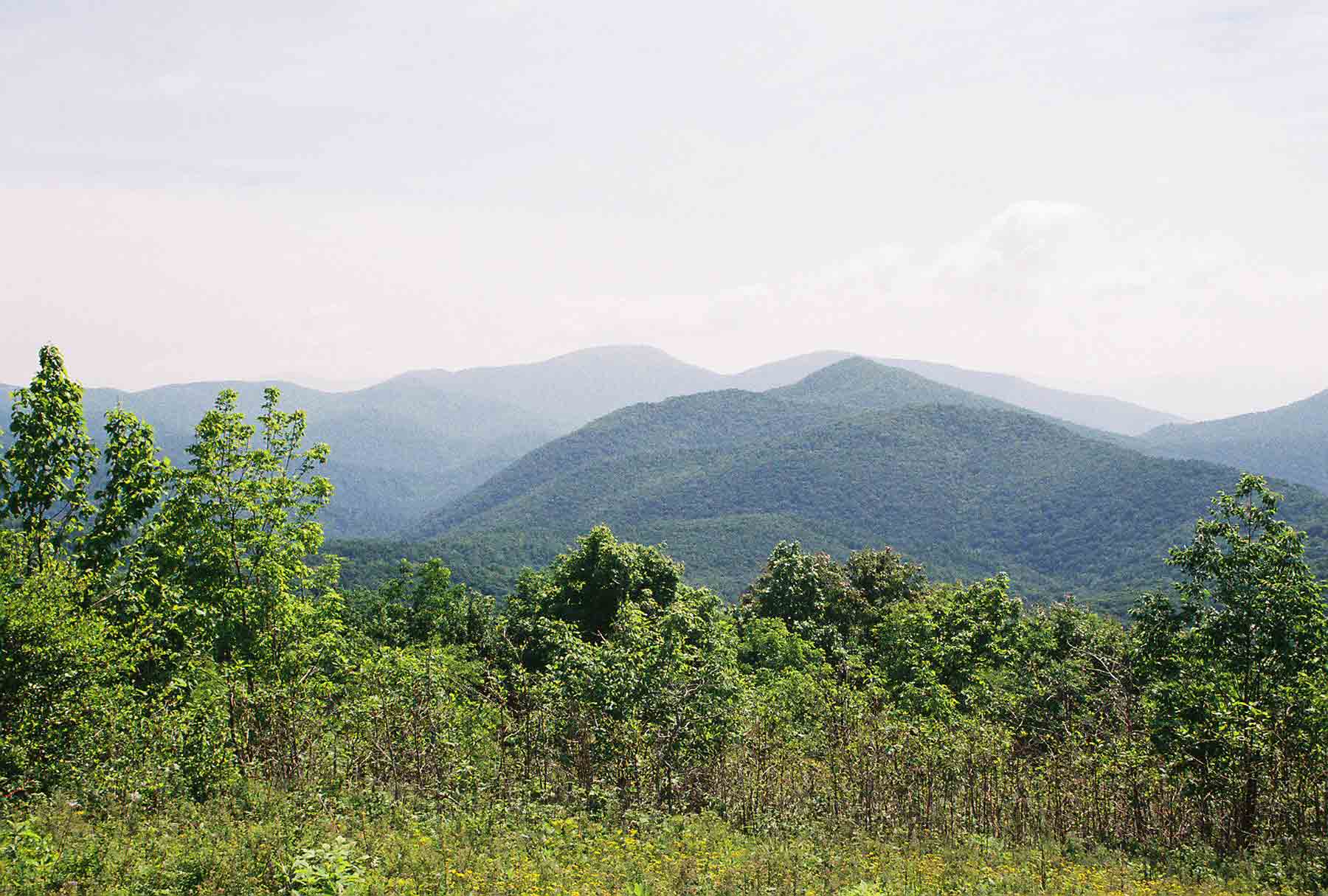 mm 1.6 - View North from Tar Jacket Ridge. Large mountain in distance is The Priest.  Courtesy dlcul@conncoll.edu