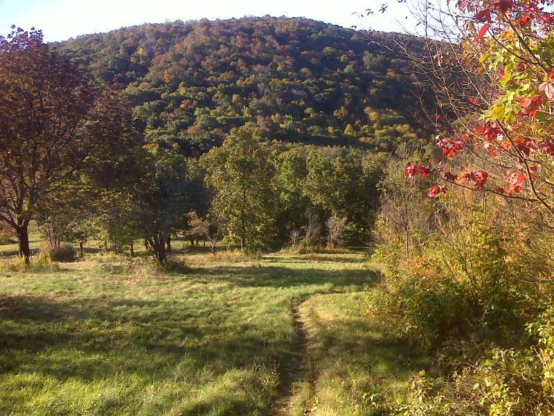 mm 2.2  Meadows of Hog Camp Gap in the fall (October 2012). GPS N37.7615 W79.1959  Courtesy pjwetzel@gmail.com