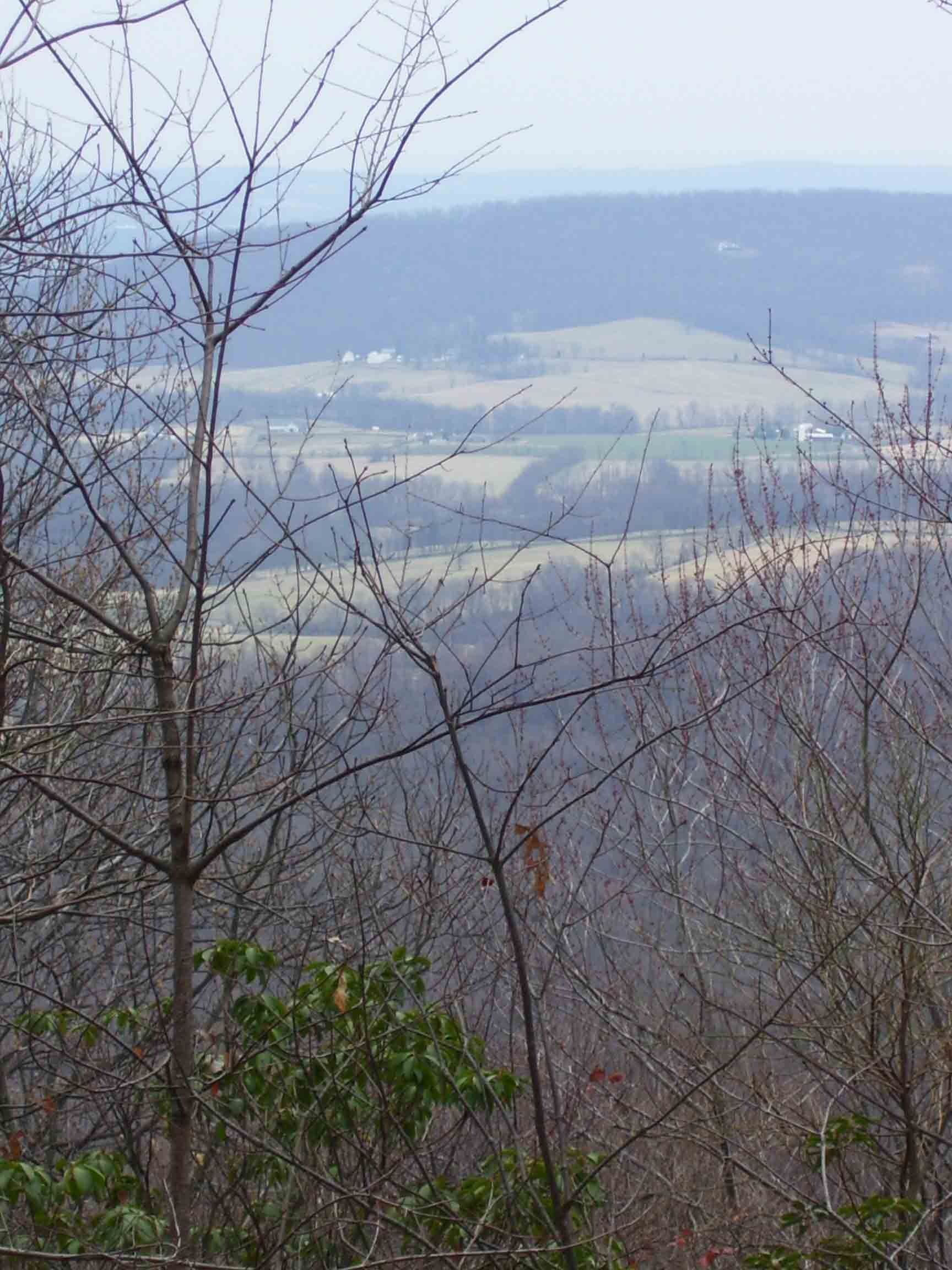 Most of the trail in this section follows a ridge which acts as the WV/VA border. This shot from approximately Mile 3.2 is to the east into Virginia.  Courtesy dlcul@conncoll.edu