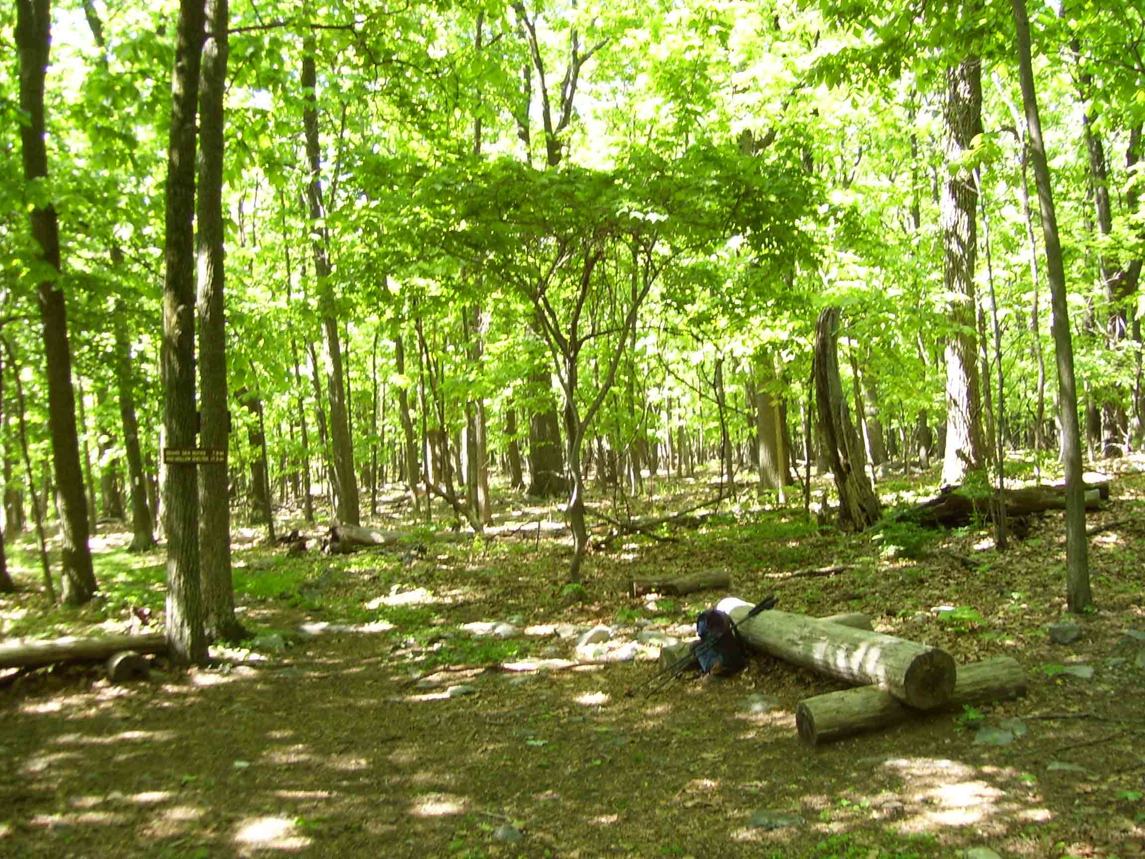 Some of the log "benches" installed by the PATC at the junction of the AT and the more southern access trail to the Blackburn Trail Center (Mile 6.4). Courtesy dlcul@conncoll.edu
