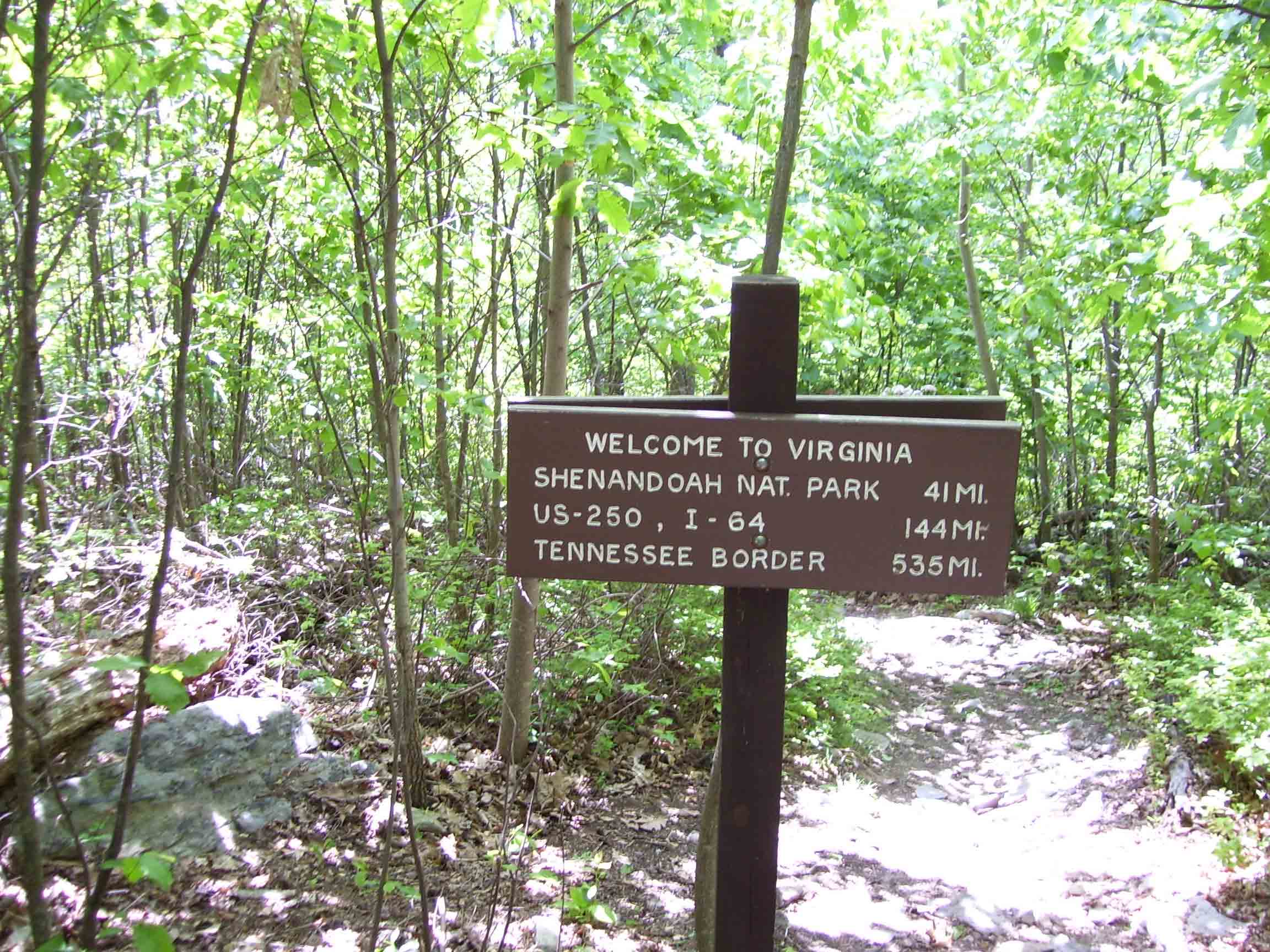 From this point south (approximately mile 11.1) the trail is clearly in Virginia for the next 530 miles except for one section on the VA/WV border on Peters Mountain. To the north the trail follows the VA/WV border for fifthteen miles before clearly going into West Virgiia.  Courtesy dlcul@conncoll.edu
