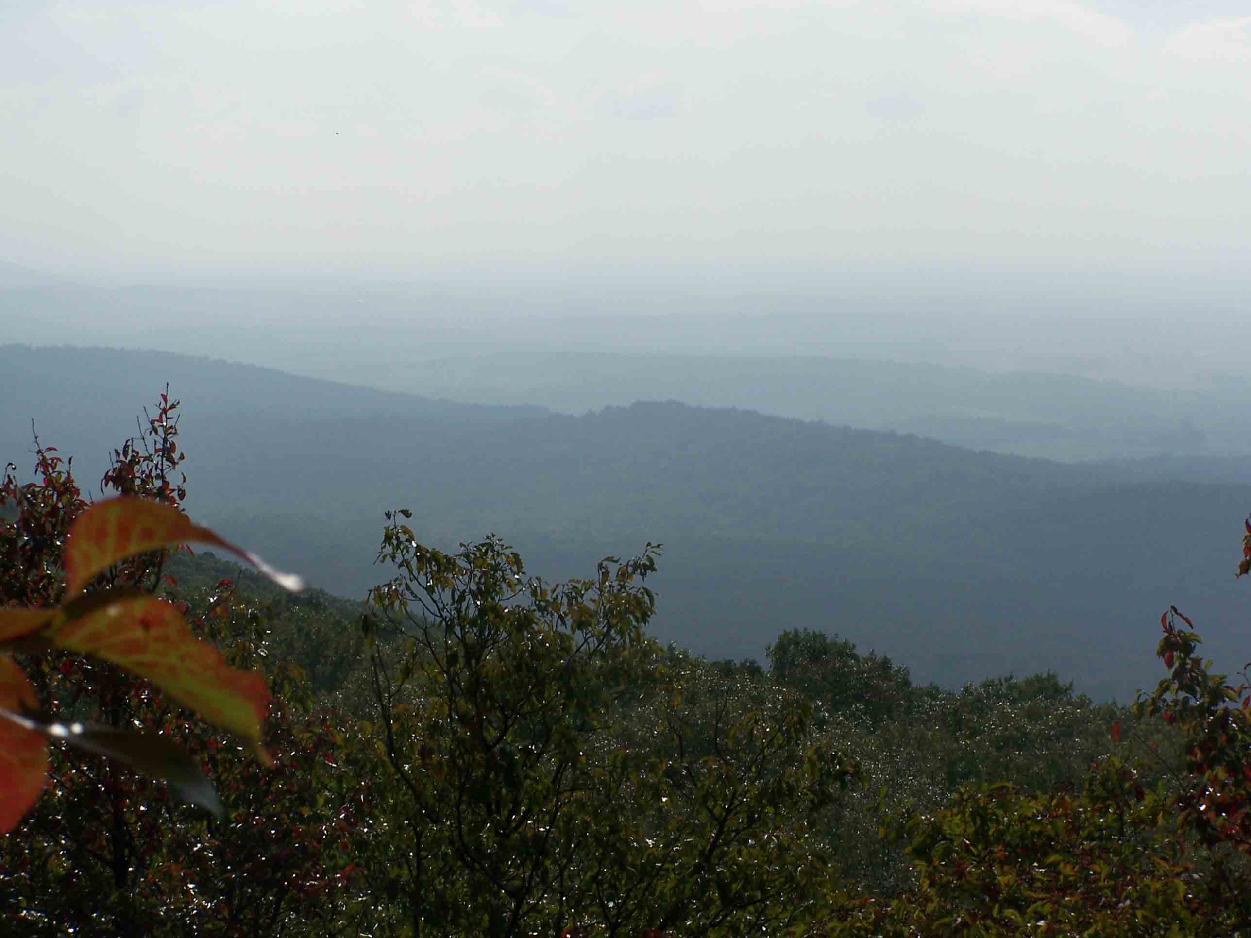 mm 3.6 - View from Buzzard Rocks. Courtesy at@rohland.org