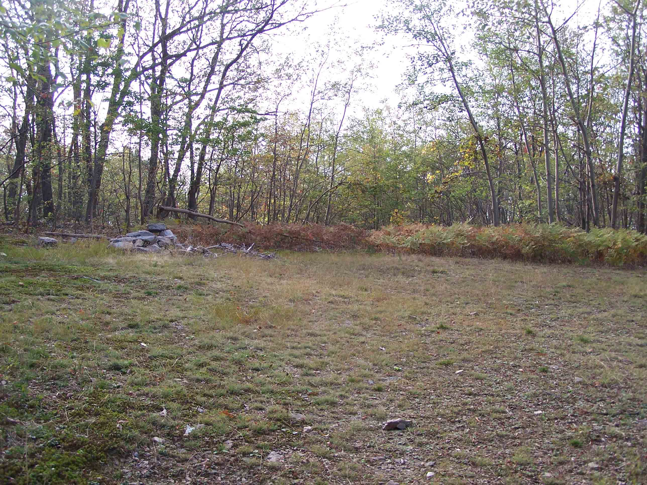 Large campsite just off of AT. Courtesy at@rohland.org