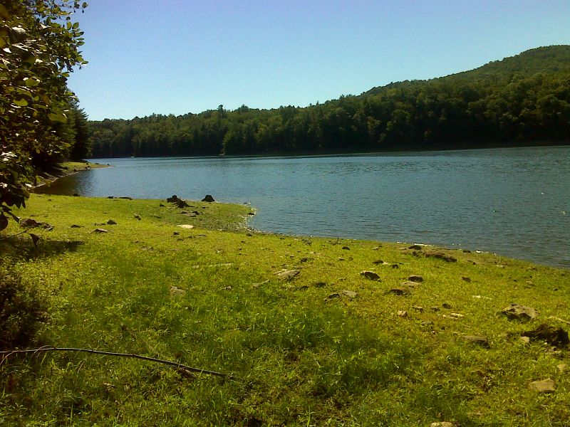 Upper end of Lynchburg Reservoir (Pedlar Lake). Taken at approx. mm 4.3.  GPS 37.6794 W79.2755  Courtesy pjwetzel@gmail.com