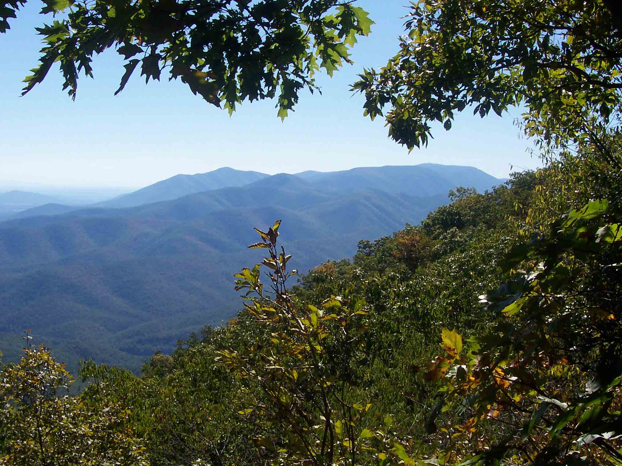 mm 6.0 - View to south from viewpoint just north of the summit of Rocky Row Mt. The long ridge across the valley in the picture is Thunder Ridge which the trail eventually traverses.  One of the Peaks of Otter is in the background.    Courtesy dlcul@conncoll.edu