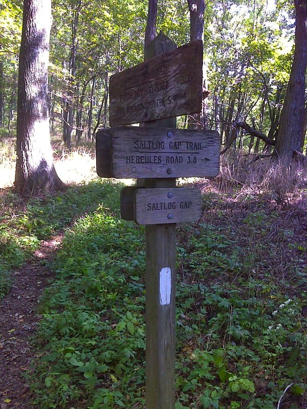 mm 3.5 Junction with the Saltlog Gap Trail in Saltlog Gap.  This is not to be confused with Salt Log Gap further north in VA Sections 18/19.  GPS N37.6540 W 79.3587  Courtesy pjwetzel@gmail.com