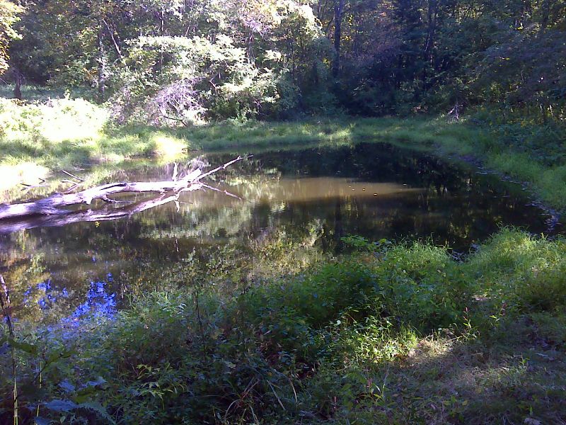 mm 0.4 Pond at Punchbowl Shelter. GPS 37.6760 W 79.3386  Courtesy pjwetzel@gmail.com