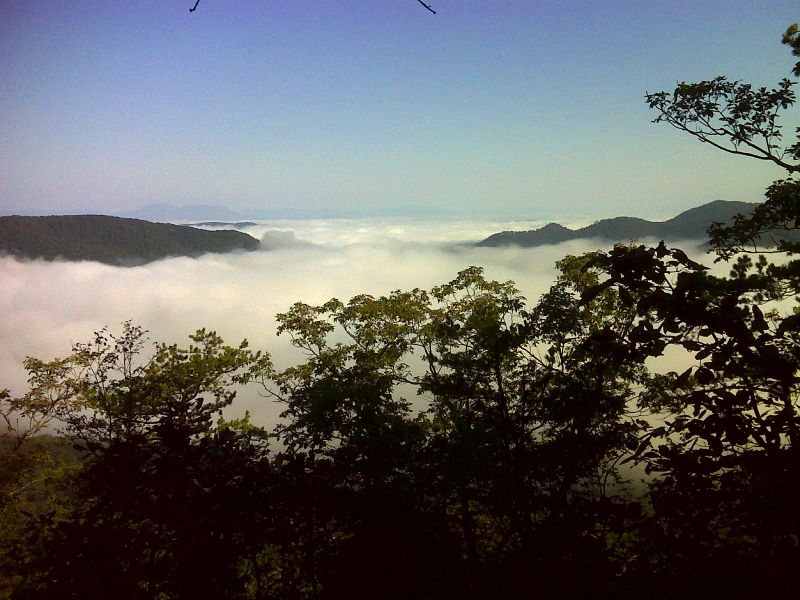 Fog to west of ridge.  GPS N37.5925 W79.4348  Courtesy pjwetzel@gmail.com