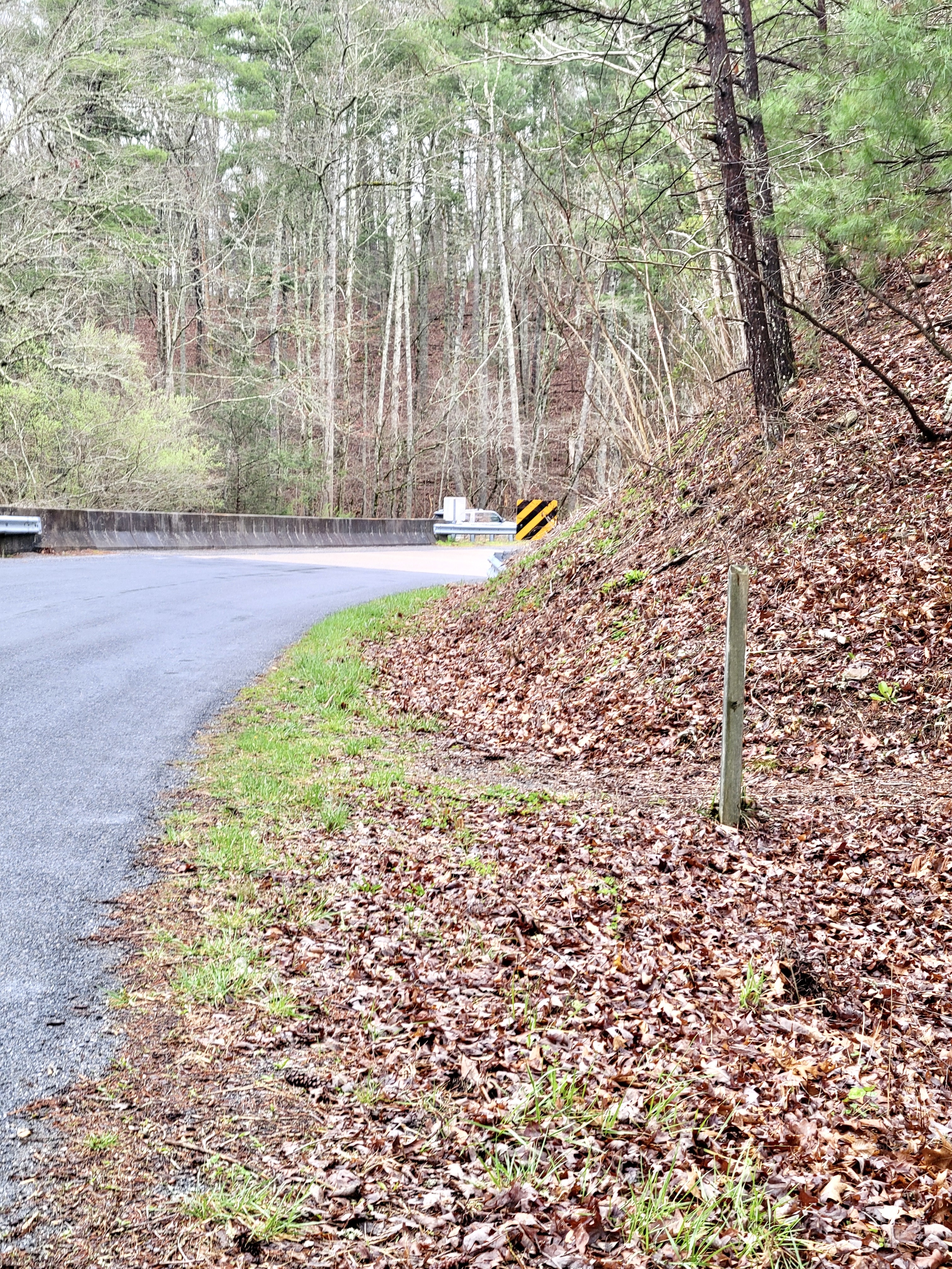 mm 11.4 AT crosses VA 614 (Jennings Creek Road). GPS 37.5293 79.6230. Notice parking area across bridge in background. Courtesy cabincellars@yahoo.com