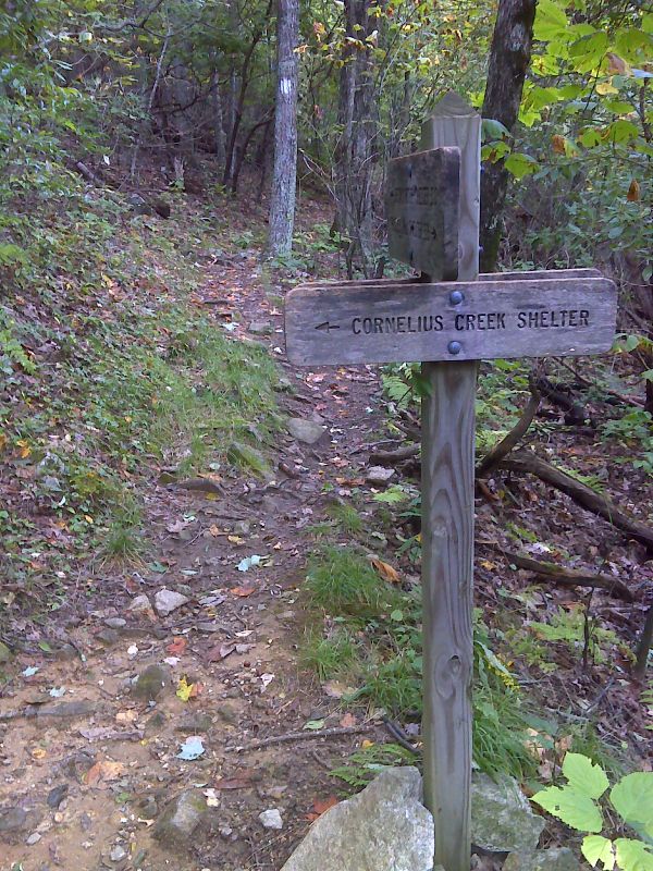 mm 2.7  Junction with side trail to Cornelius Creek Shelter.  GPS 37.4945 79.5468   Courtesy pjwetzel@gmail.com