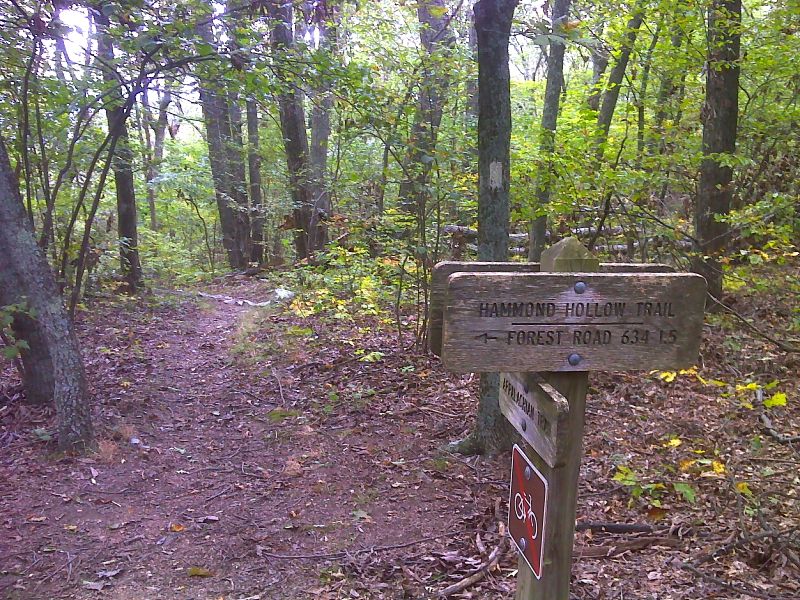 mm 3.9 Junction with the Hammond Hollow Trail. GPS N37.4598 W79.7079  Courtesy pjwetzel@gmail.com