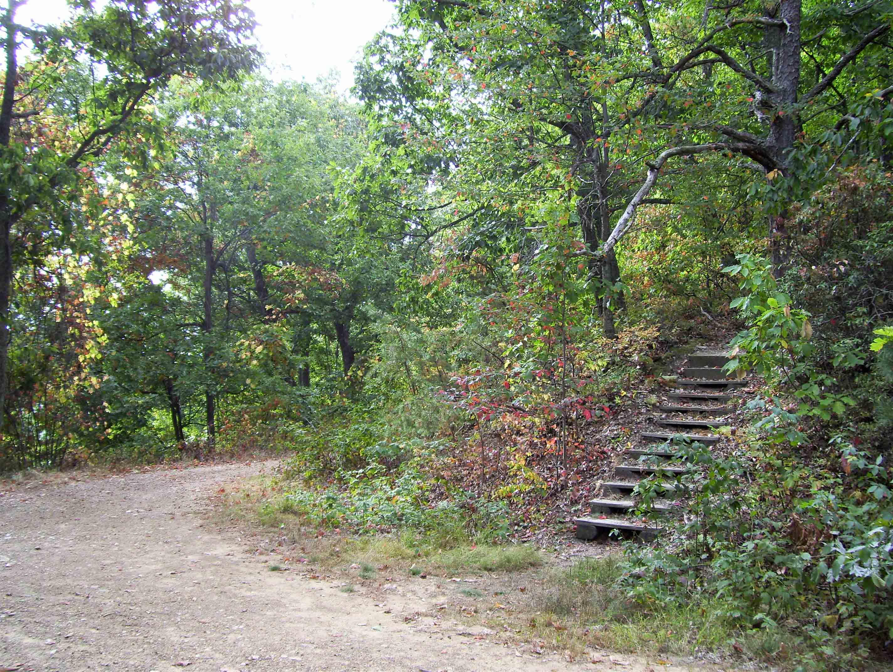 AT crossing of Salt Pond Road (mile 5.8). The southbound AT ascends the stairs on the right. The road ahead leads 1.1 miles to Curry Gap on the Blue Ridge Parkway. Salt Pond Road is gated there to prevent vehicle access from the Parkway. Any possible parking here is just to the left of this picture.  Courtesy dlcul@conncoll.edu