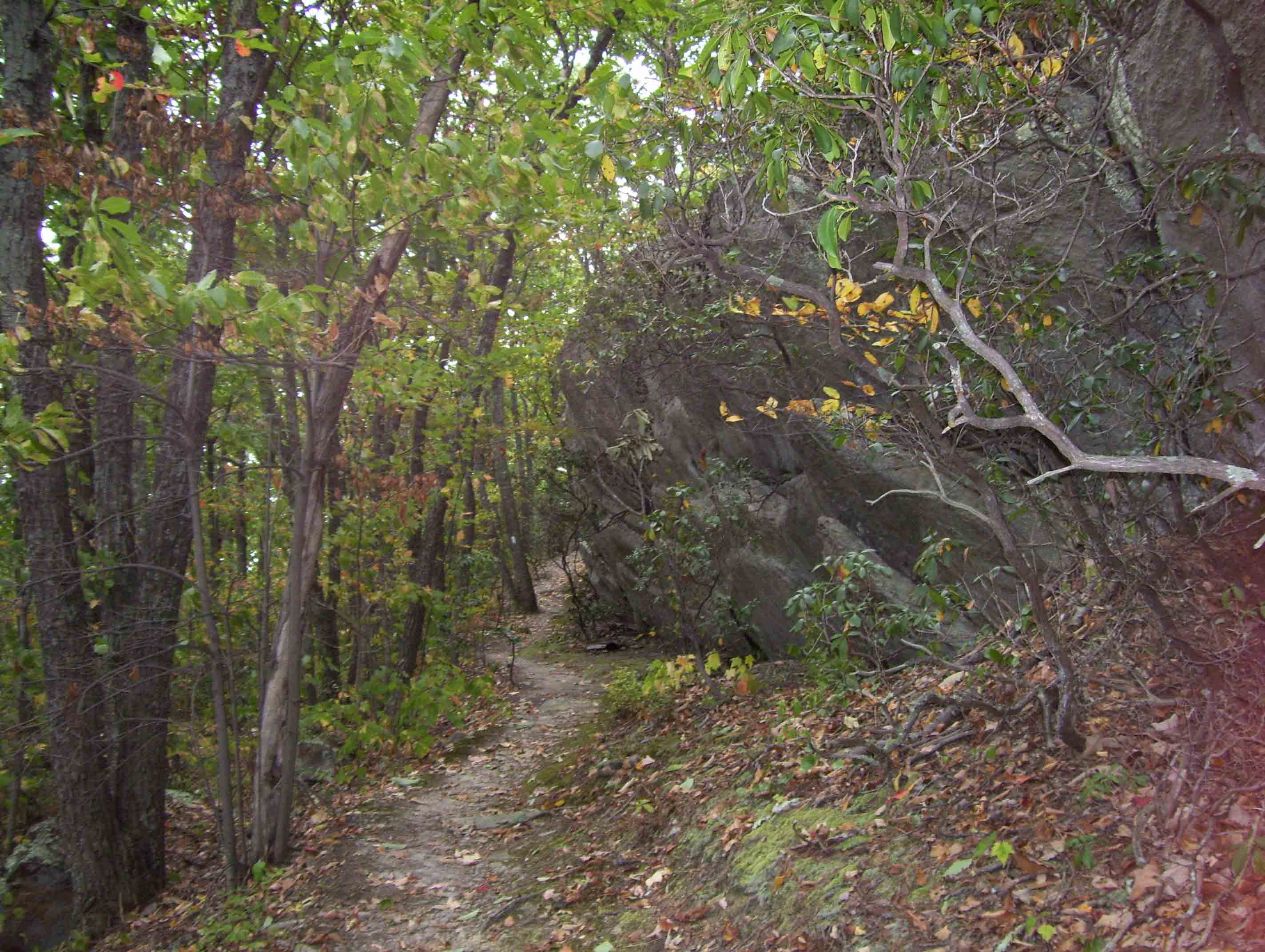 Rock outcroppings along trail. This is just south of the viewpoint at Mile 19.9.  Courtesy dlcul@conncoll.edu