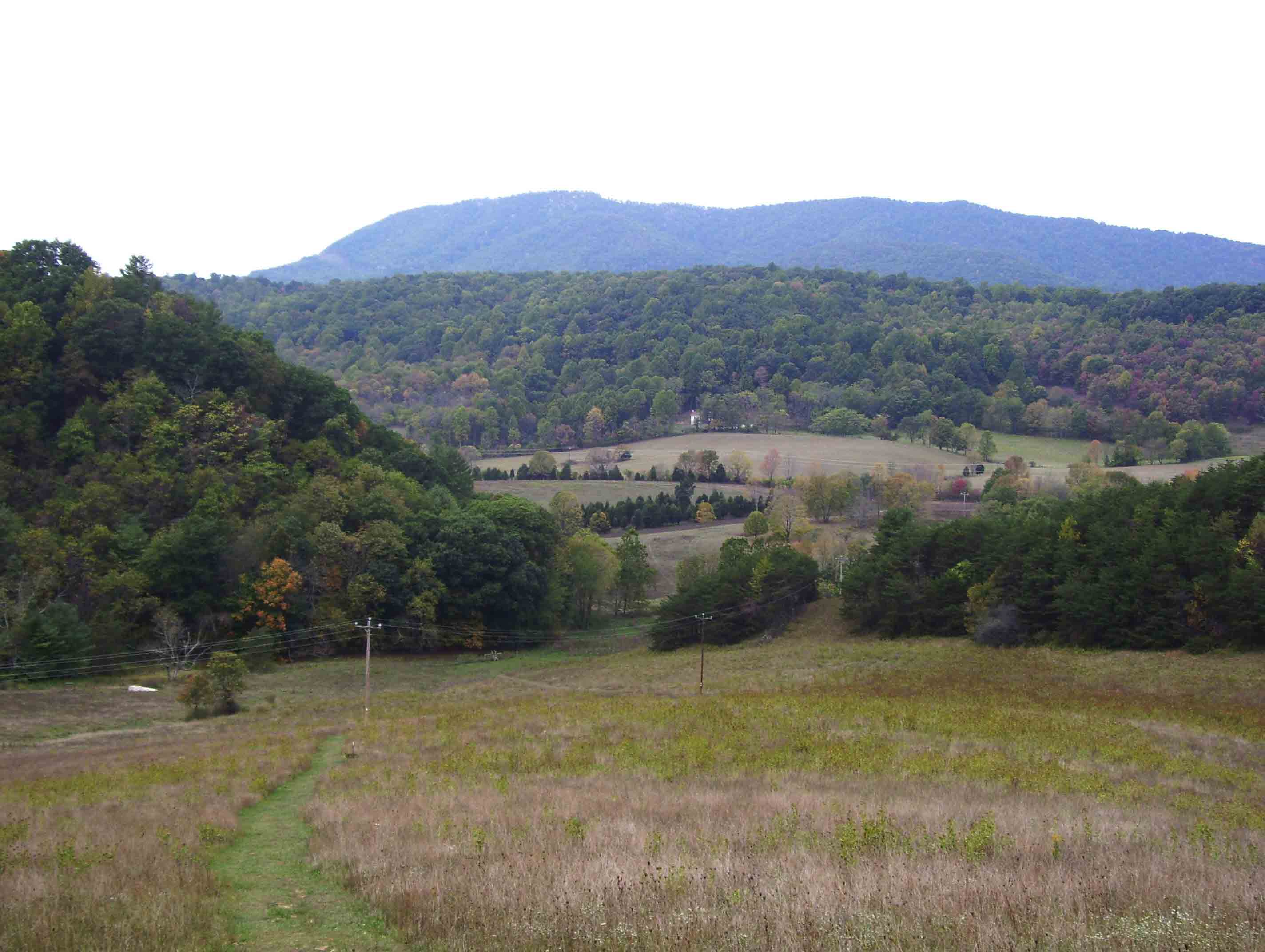 View to west from approximately Mile 23.5 as the southbound trail descends across field to VA 785. The prominent mountain on the other side of the Valley is Cove Mountain which the trail climbs. Dragon's Tooth is on that ridge.  Courtesy dlcul@conncoll.edu