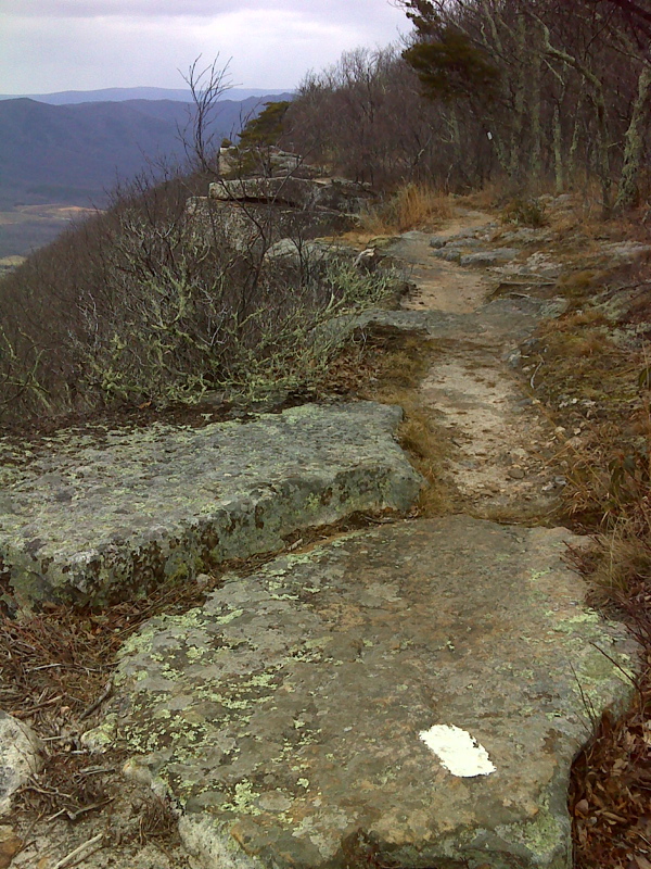 Appalachian Trail at the rim of Tinker Cliffs. GPS: N37.4347
W-79.9836  Courtesy pjwetzel@gmail.com