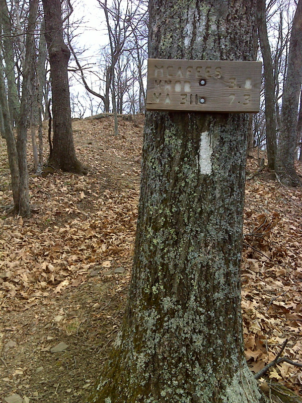 mm 12.3 Appalachian Trail near Brickeys Gap  Courtesy
pjwetzel@gmail.com