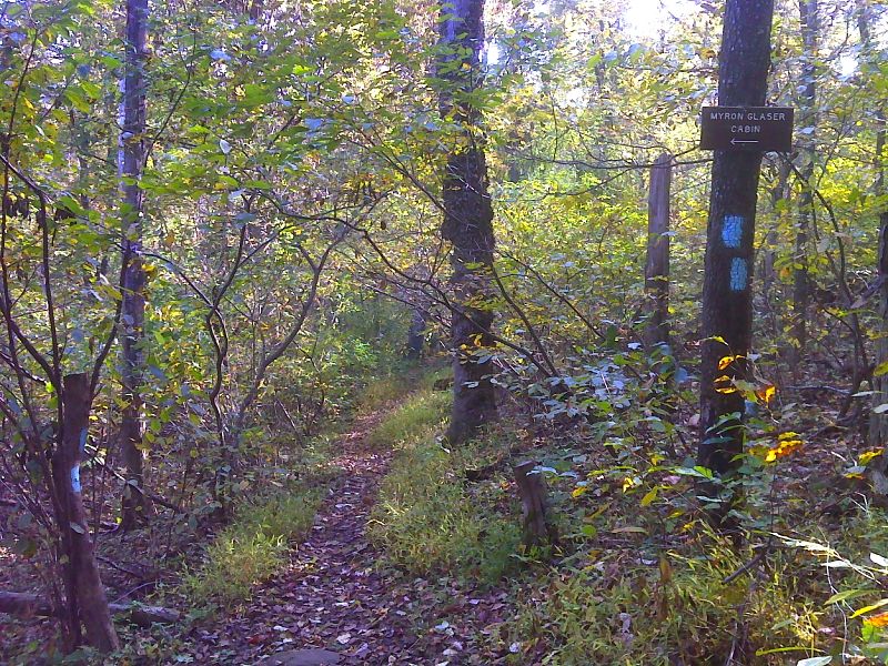 mm 12.3 South junction with the side trail to Myron Glaser Cabin.  GPS N39.0339 W 77.9553  Courtesy pjwetzel@gmail.com