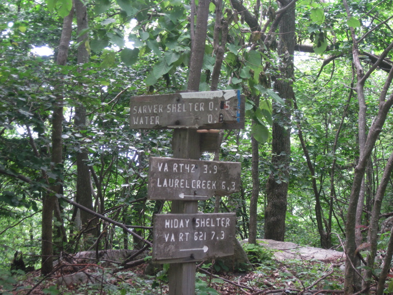 mm 7.3 Trail sign at the junction with the trail to Sarver Hollow Shelter (May 2010). This side trail also provides access to the Sarver Trail which descends to a gravel road near VA 621.   Courtesy dlcul@conncoll.edu