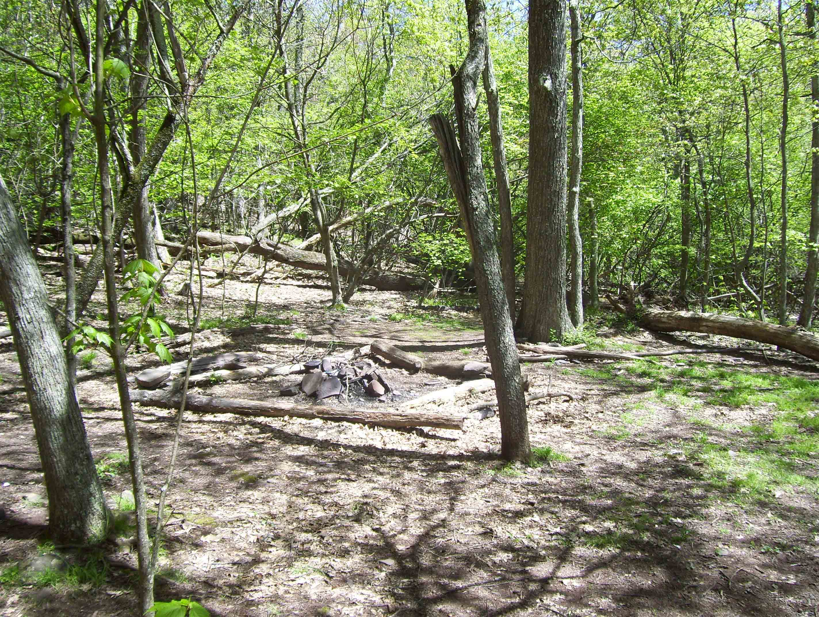 mm 4.5  Nice campsites near the spring in the previous picture.  Courtesy dlcul@conncoll.edu