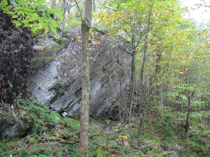 Overhanging rock ledge at approx. mm 6.6.  This is trail south
of Salt Sulfur Turnpike.
  Courtesy dlcul@conncoll.edu