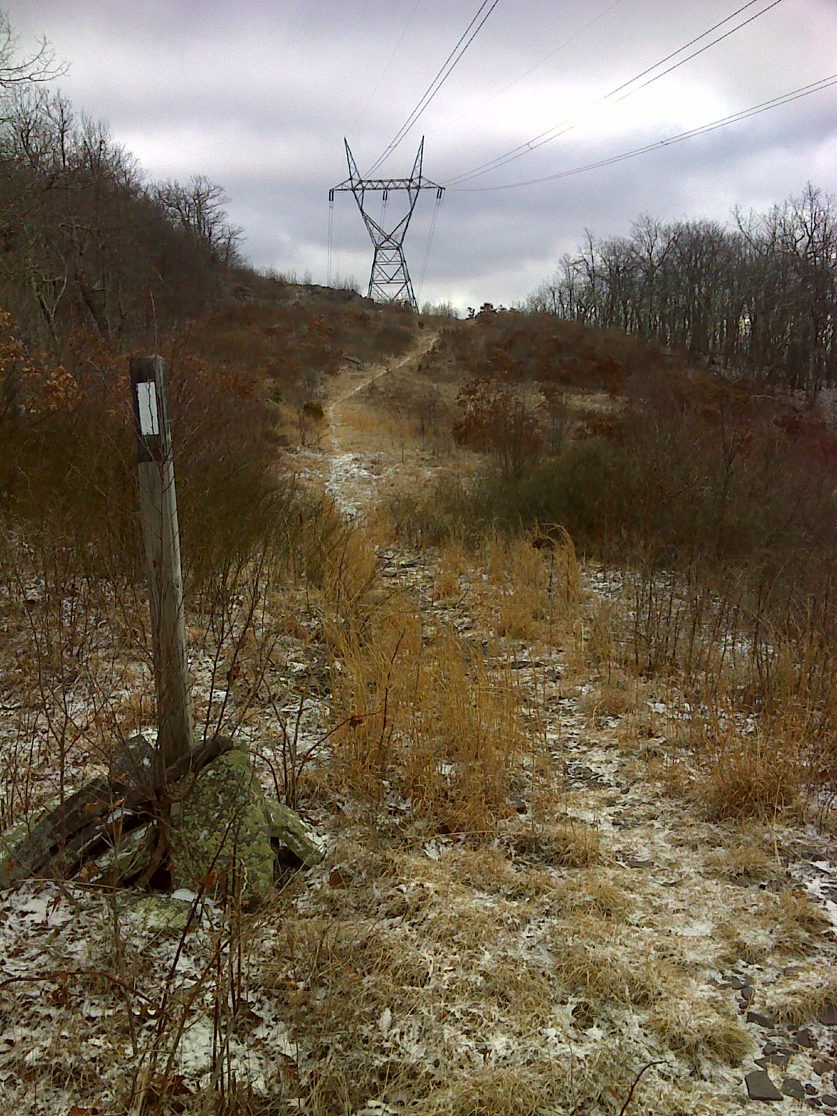 mm 11.9 AT follows the power line clearing for a stretch
Courtesy pjwetzel@gmail.com