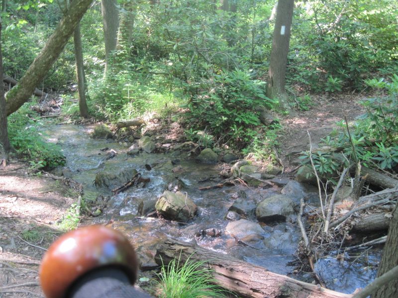 mm 17.6 Crossing of Creek just trail south of Clendenin Road (VA 641) .  Sorry for the head of my hiking pole in the picture.   Courtesy dlcul@concoll.edu