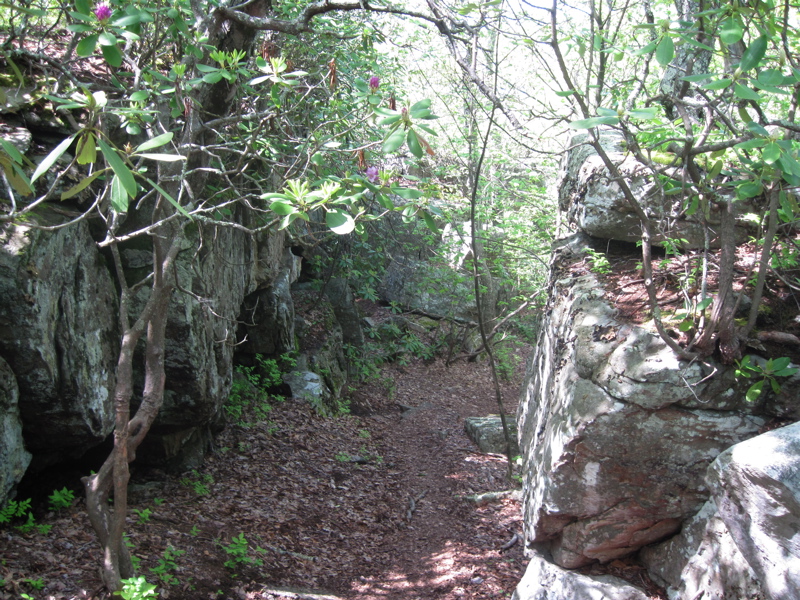 mm 3.4  Near the turnoff to Angels Rest,  the trail passes through this interesting ravine.  Courtesy dlcul@conncoll.edu