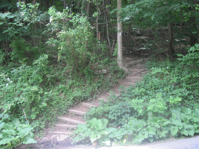 mm 1.4:  Southbound the trail leaves VA 634 by climbing these steps, thus beginning the climb to Angels Rest.    Courtesy dlcul@conncoll.edu