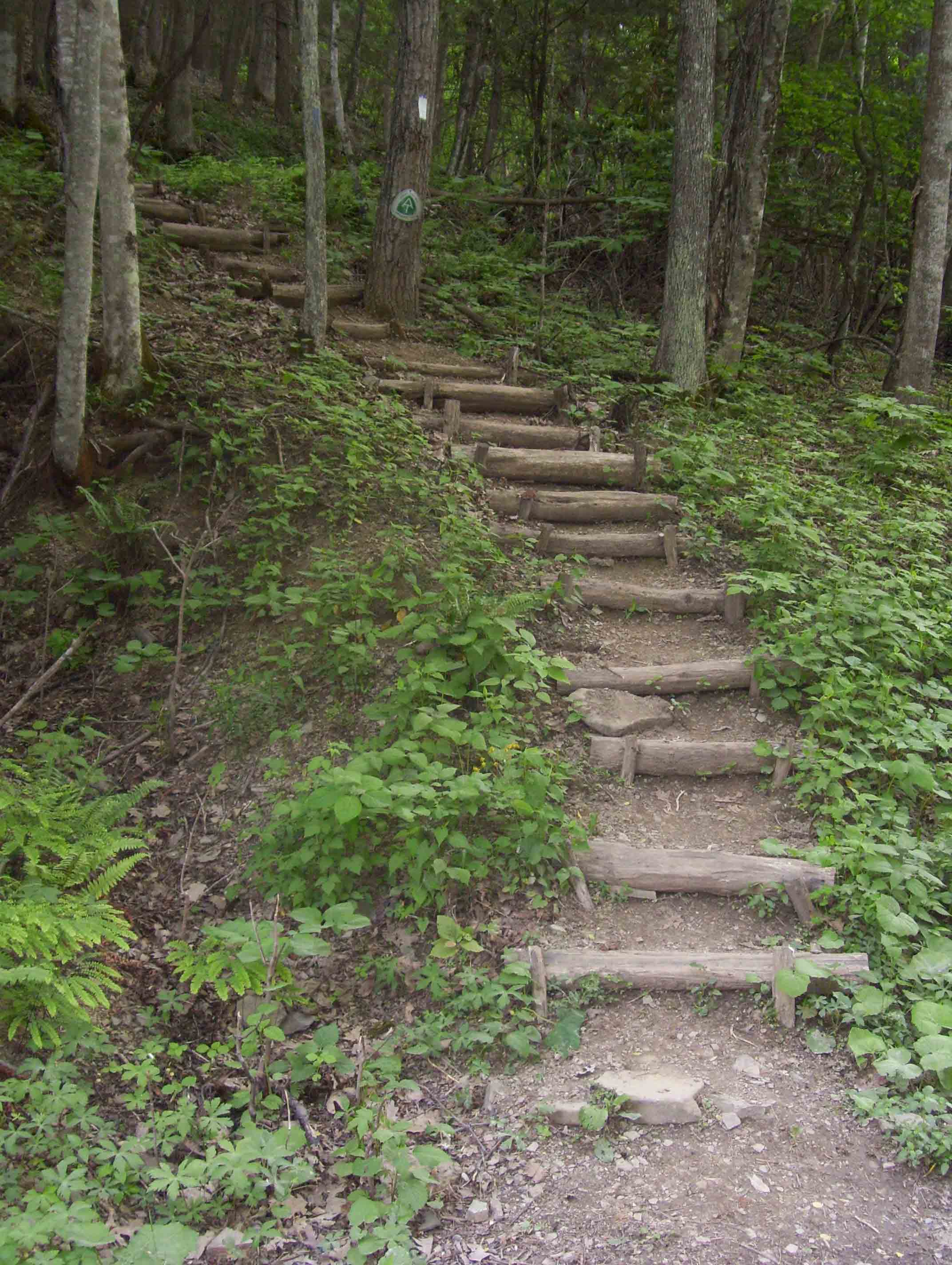 mm 7.9  Steps at the trailhead for the High Water Trail at VA 615. Courtesy dlcul@conncoll.edu
