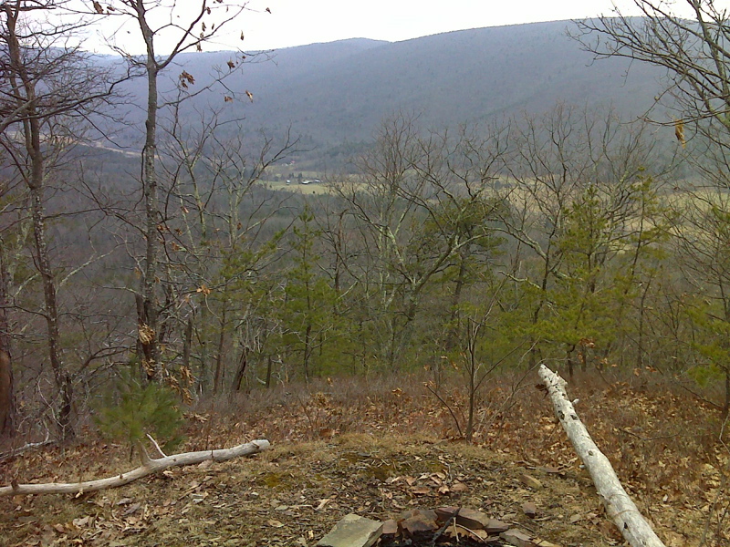 Winter View (January 2012)  of Hunting Camp Creek Valley from primitive camp site along the Appalachian Trail. GPS N31.1755 W81.1679  Courtesy pjwetzel@gmail.com