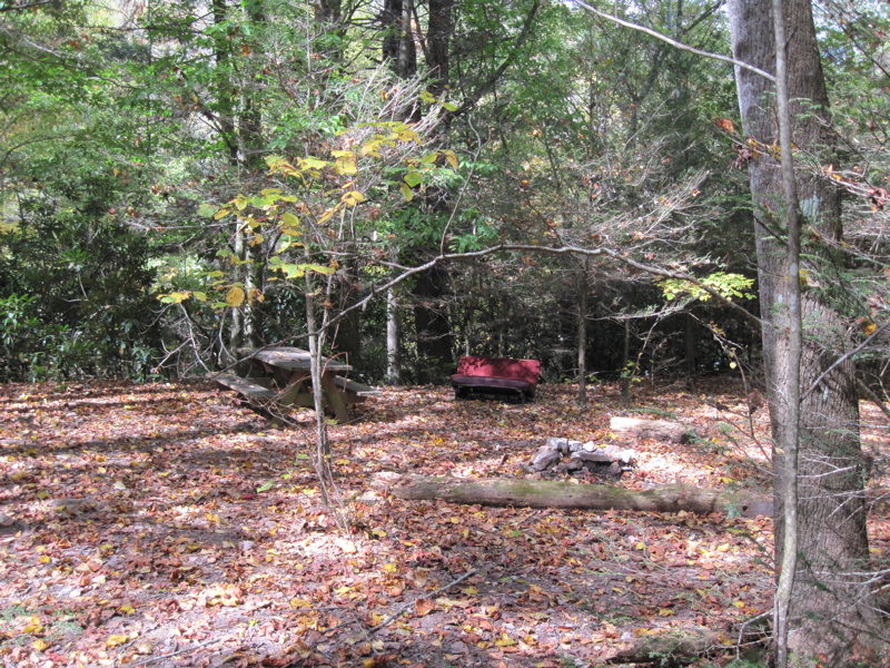 mm 6.8  Just trail north of VA 615 there are two campsites
complete with picnic tables. This one has the extra amenity of a car seat
to act as a sofa.  Courtesy dlcul@conncoll.edu