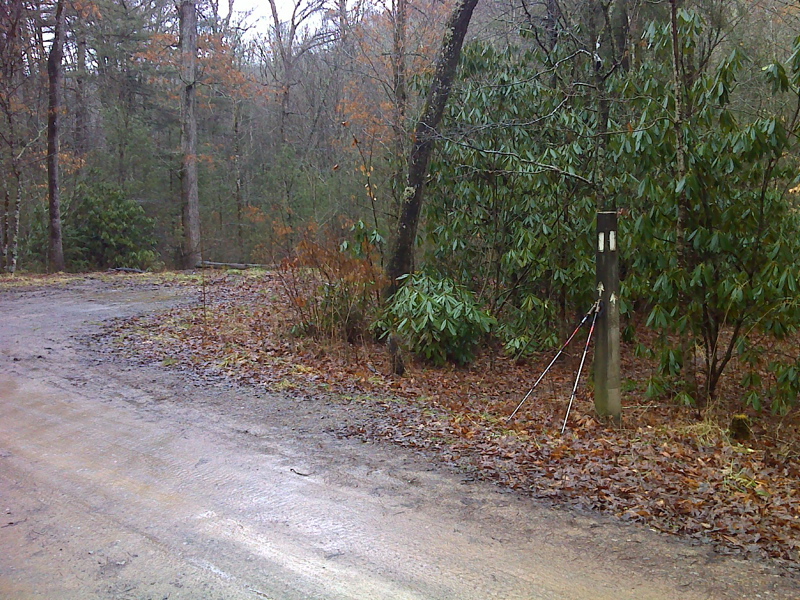 mm 10.8 Parking area and trail crossing of FS222 1.2 miles west of the end of State maintenance (VA 625) and 8.0 miles from VA 42  Courtesy pjwetzel@gmail.com