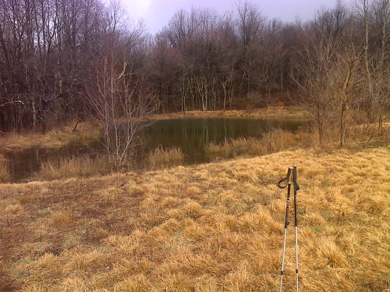 mm 8.0 Pond along Chestnut Ridge with apparent blue blazed side trail passing to its right. This probably leads to a spring mentioned in the AT Guide. Courtesy pjwetzel@gmail.com