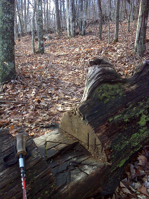 mm 7.0  Trail Art at a log step over. GPS N37.0390 W81.4242  Courtesy pjwetzel@gmail.com