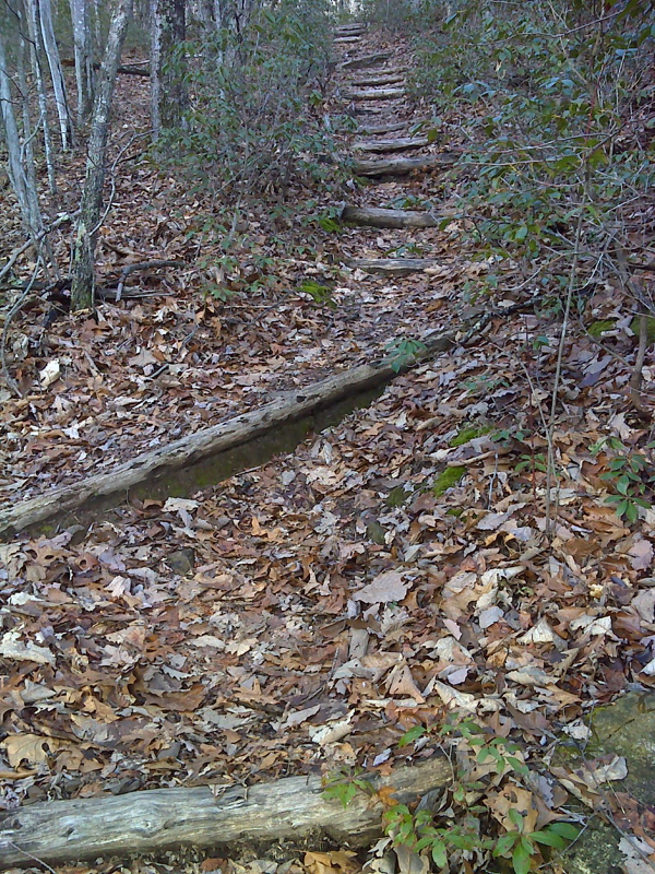Part of a quarter mile section of AT ascending to Chestnut Ridge where trail builders have installed 120 log steps. GPS N37.0344   W81.4247  Courtesy pjwetzel@gmail.com