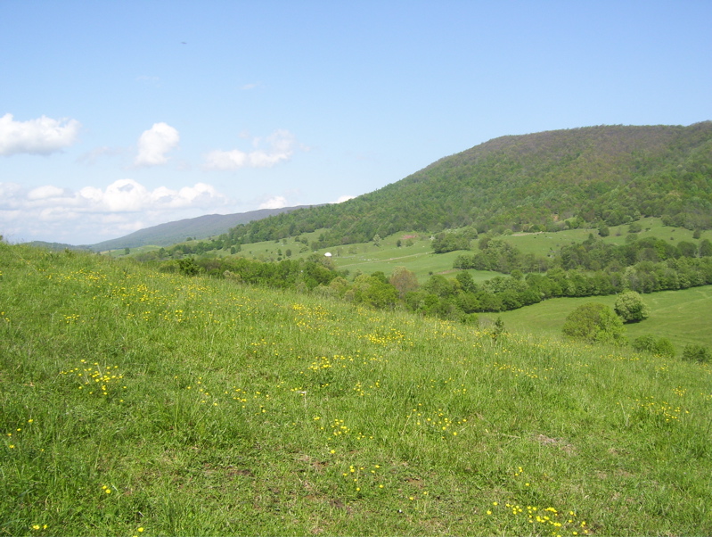 View of Big Walker Mt. from pastures just north of VA 610. Taken at approx. MM 2.2.  Courtesy dlcul@conncoll.edu