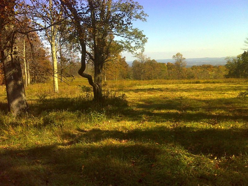 Meadow view as the trail passes through what was the Ovoka Farm. GPS N39.0021 W77.9817  Courtesy pjwetzel@gmail.com