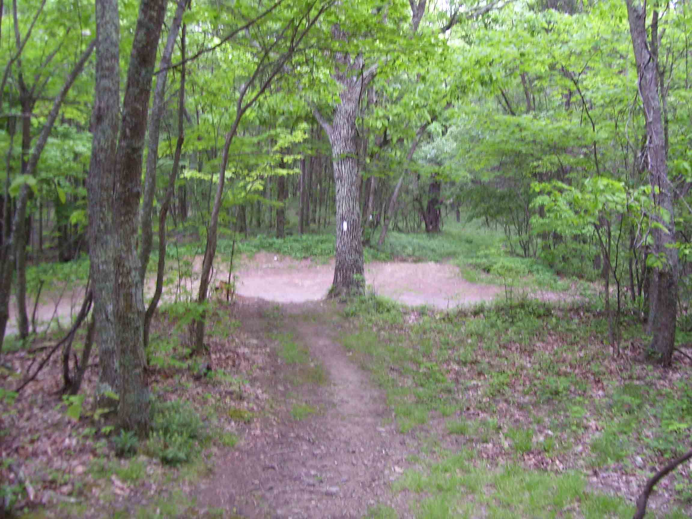 Trail crossing of VA 601 (Mile 4.1). All the parking space available is on the opposite side of the road. This view is looking trail south. Courtesy dlcul@conncoll.edu