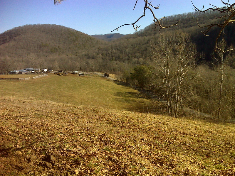 View of VA 670 from fence line a few yards east of AT. GPS N36.7700 W81.4853  Courtesy pjwetzel@gmail.com