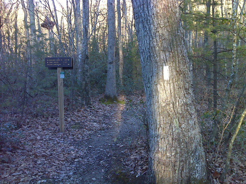 mm 13.1 Junction of AT with trail to Racoon Campground  Courtesy pjwetzel@gmail.com